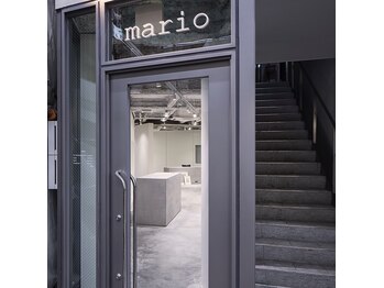 mario 【マリオ】 