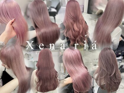 ジーナリア(Xena ria)の写真