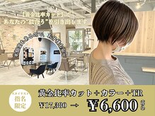 スペックホルダー(Spec Holder)