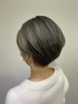 サングース(Sungoose) sungooseミニウルフテラコッタデジタルパーマくすみブルー