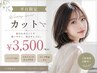 《ご新規、平日限定♪ 》再現性カット(シャンプー、ブロー込み)¥3500