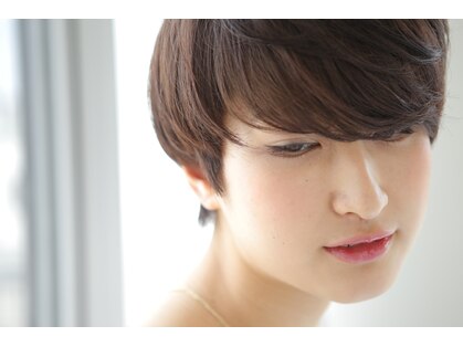 カミーノ(Camino)の写真