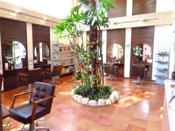 ヘアメイク エイムズ シュアーニューエイジ(HAIR&MAKE aim.s SUR UN NUAGE)の写真/お洒落なインテリアと自然光が差し込む店内で、心地よいひとときを。温かなスタッフがお出迎えします♪