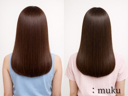 ムク(:muku)の写真