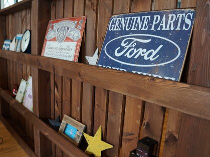 コーラル(coral)の写真