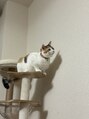 トリコ(trico) インスタizumi.t_trico