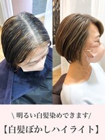 ウィロー(WILLOW)&nbsp;【WILLOW京橋/都島】白髪ぼかしハイライト×ショート(井下貴史)