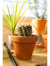 リカラー(Re.Color)&nbsp;Iku 