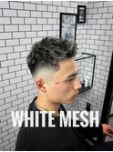 ホワイトメッシュ