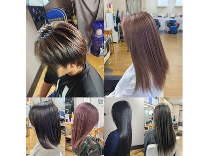 シャルシェ(Chercher)の写真