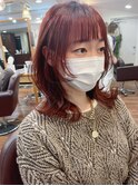ウルフレイヤーとラベンダーピンク【アフロート小笠原】