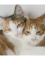アリーナ 船橋日大前店(arena) 猫2匹飼ってます!