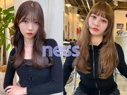 ネス(ness)の写真