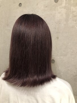 タエビスアリッサム(Taebis Alyssum) 艶髪　イルミナラベンダー　北習志野駅