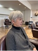 26.1.19グレイヘアーエレガントショート[犬山良慈]