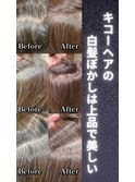 【白髪ぼかし/白髪ぼかしハイライト/脱白髪染め/白髪染め無し】