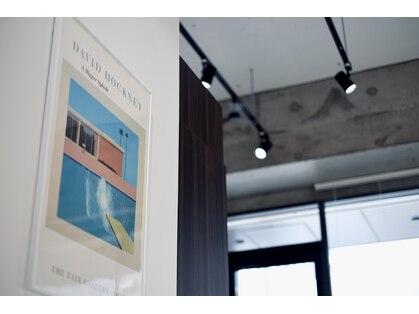 ネセ(Nece)の写真