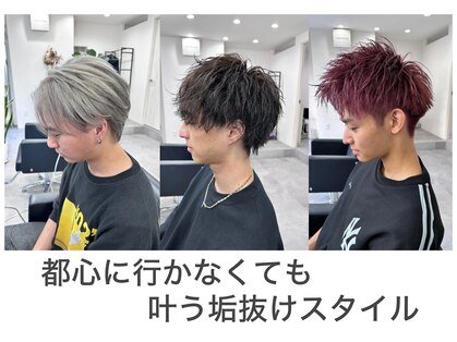 クローブ(CLOVE)の写真