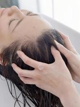 サッコウ(sakkou)