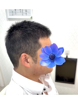 シルク(Silk) ナチュラルグラデーションスタイル