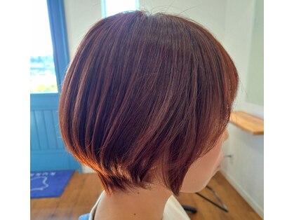 クッカ(kukka)の写真