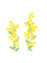 オリーブポエ(olive poe)&nbsp;池田 