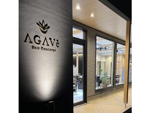 アガヴェ(AGAVe)