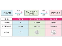 ■前処理/中間処理…PPT（様々な方法で分解をしたケラチンなどのたんぱく質）