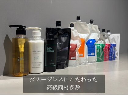 シンカ(shinka)の写真
