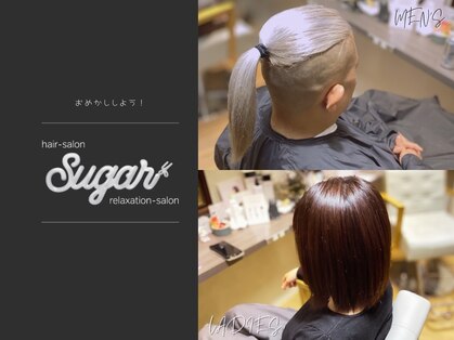 シュガー(sugar)の写真