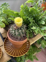 リカラー(Re.Color) Iku