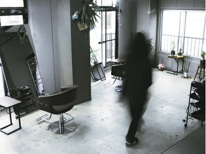 タタ(tata)の写真