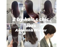 ツーバイヘアーズチーク(2 by hair. s chic)