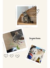 カットデキャットバイネコ(Cut de CAT by NeCO.)&nbsp;まきみ 