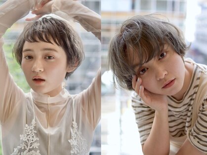 サークル(CIRCLE)の写真
