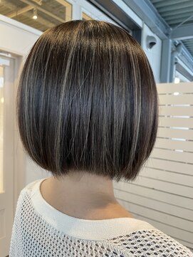 シダ(sida) 【sida 保住】コントラストハイライト