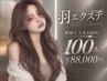 【羽エクステ】ハネエクステ100本　￥88000