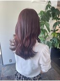 アメジストパープル【ムラカミヒナ】