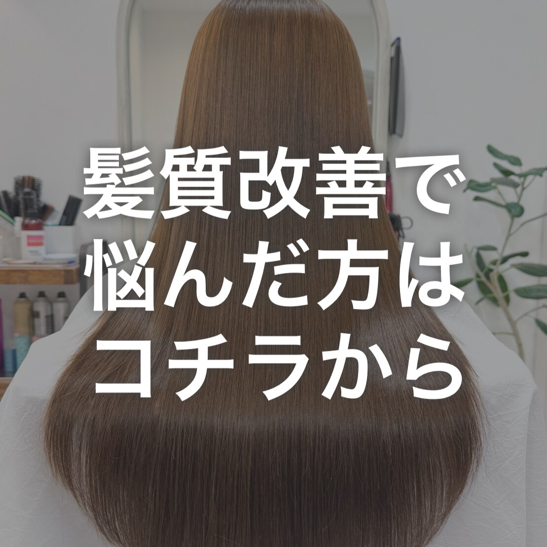 髪質改善メニューに悩んだ方はコチラから 19800〜33000
