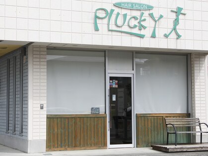 プラッキー(PLUCKY)の写真