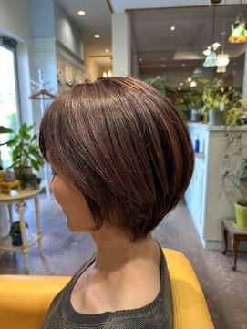 ティペット(TIPETTO) ショート