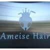 アーマイゼ ヘアー(Ameise Hair)のお店ロゴ
