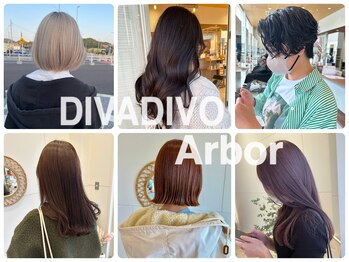 ARTIC　HAIR　DIVA DIVO　Arbor