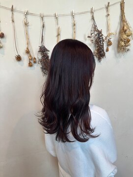 シャンプーボーイ セントラル 博多(SHAMPOO BOY central) ダークレッド