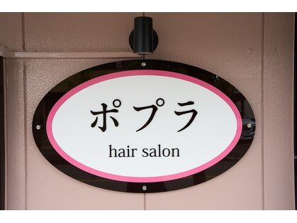 ポプラの写真