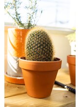 リカラー(Re.Color)&nbsp;Kaori 