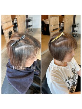 シエル(Ciel by Natural) 白髪/白髪ぼかし/ハイライト