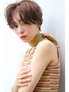 ベルベチカ(Belvetia) サファリブラウンハンサムショート