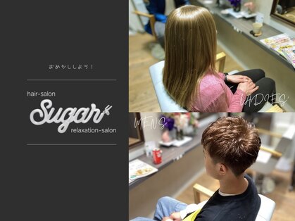 シュガー(sugar)の写真