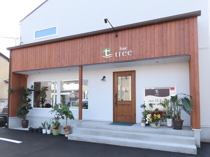ヘアー ツリー(hair tree)の写真